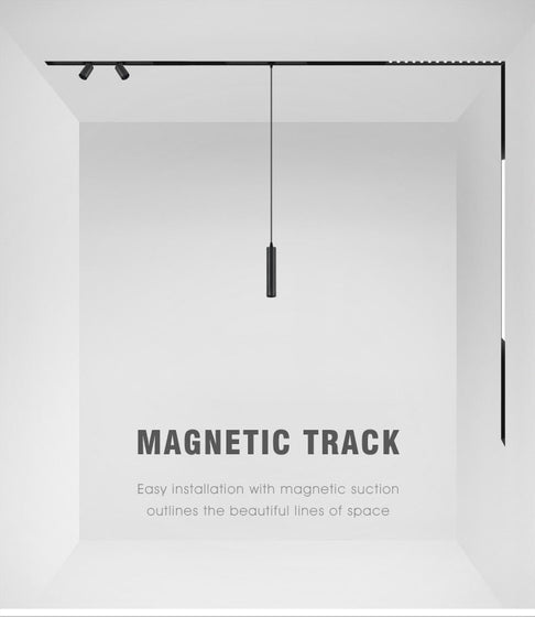 Rieles magnéticos (magnetic track)
